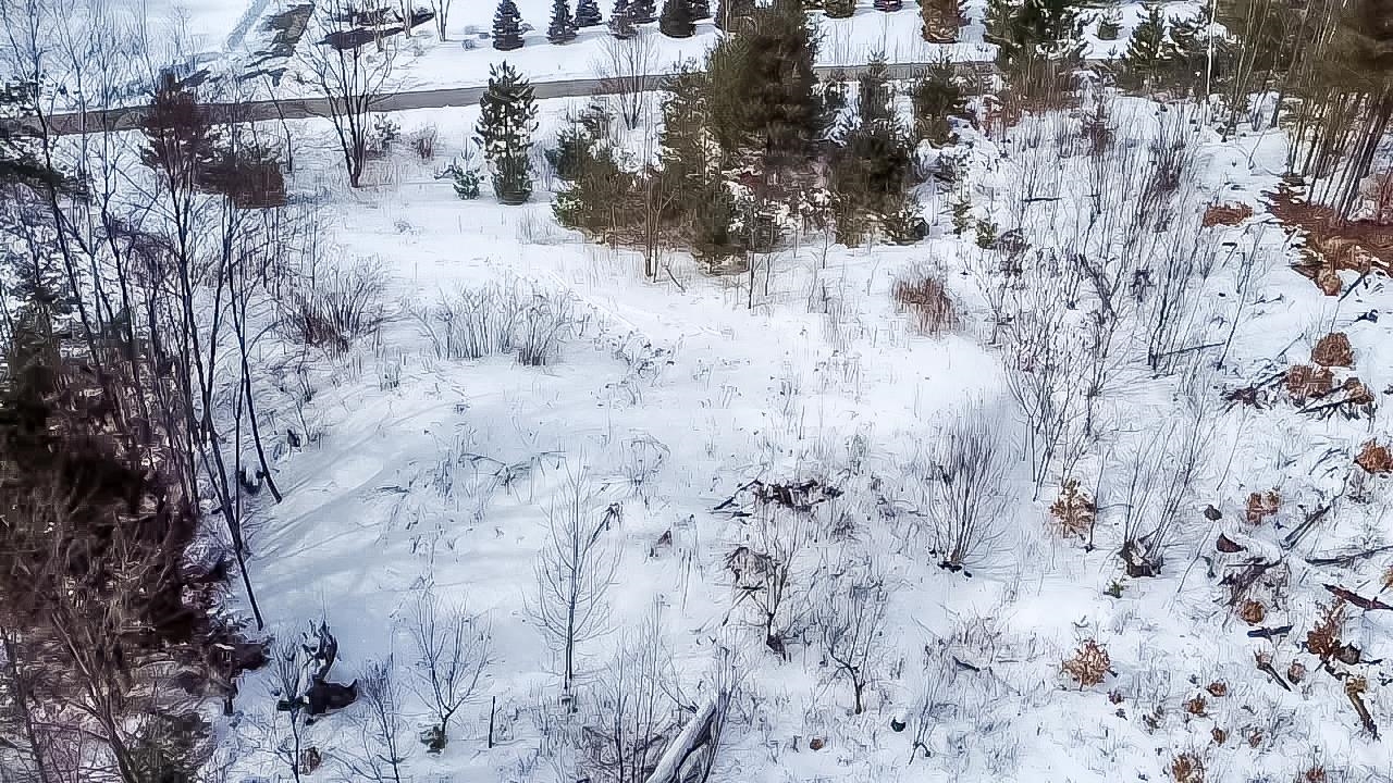 100 Pennock Lane Rutland Town, VT 05701 - Photo 11 of 17
