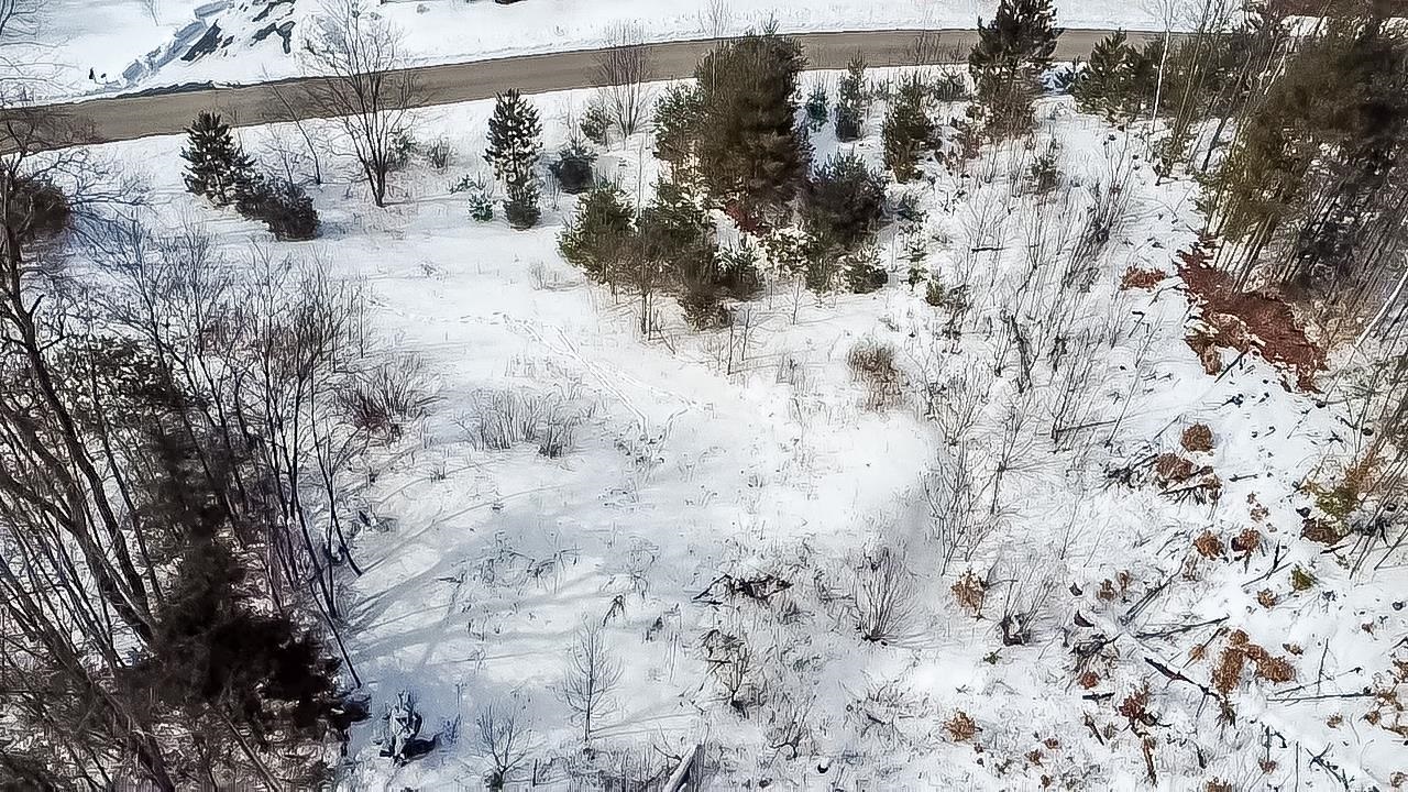 100 Pennock Lane Rutland Town, VT 05701 - Photo 12 of 17