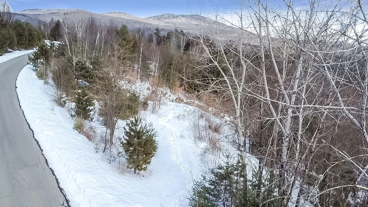 100 Pennock Lane Rutland Town, VT 05701 - Photo 16 of 17