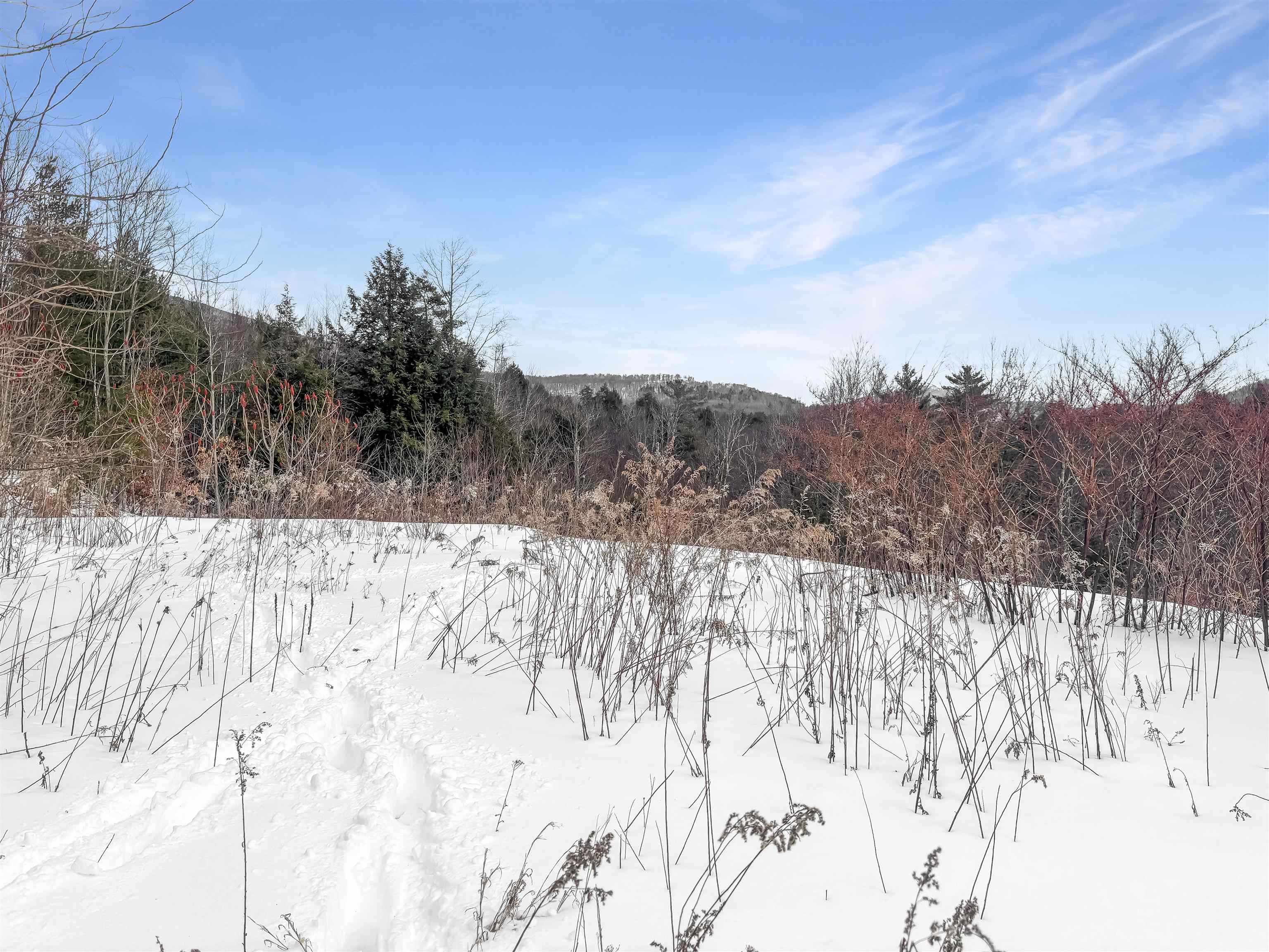 100 Pennock Lane Rutland Town, VT 05701 - Photo 3 of 17