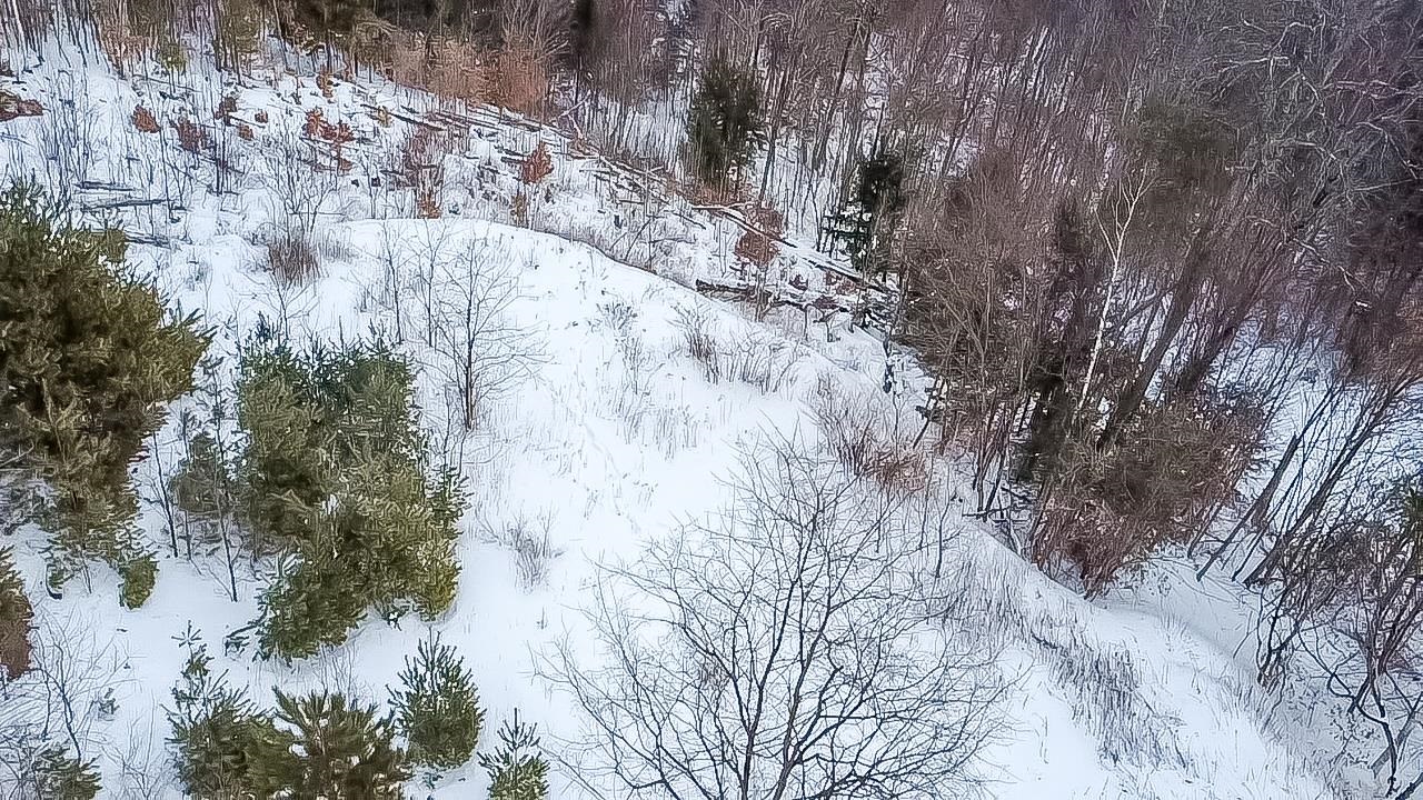 100 Pennock Lane Rutland Town, VT 05701 - Photo 7 of 17