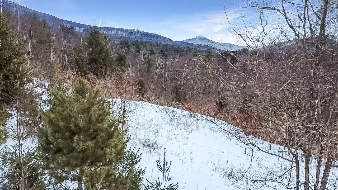 100 Pennock Lane Rutland Town, VT 05701 - Photo 9 of 17