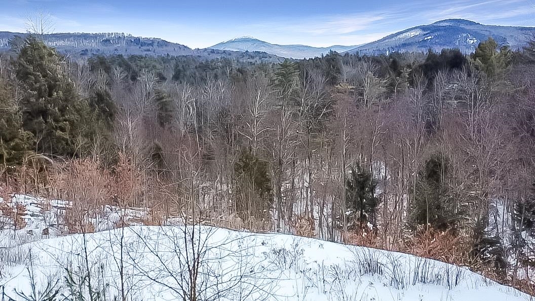 100 Pennock Lane Rutland Town, VT 05701 - Photo 10 of 17