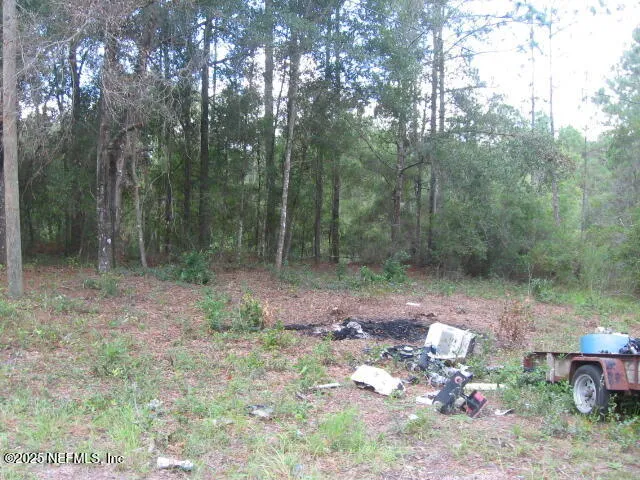 a view of backyard with green space