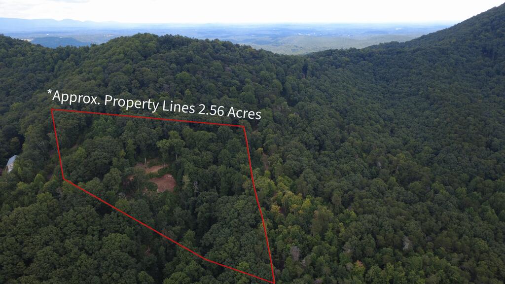 0 Firetower Road Jasper, GA 30143 - Photo 3 of 21 Gallery Image 3