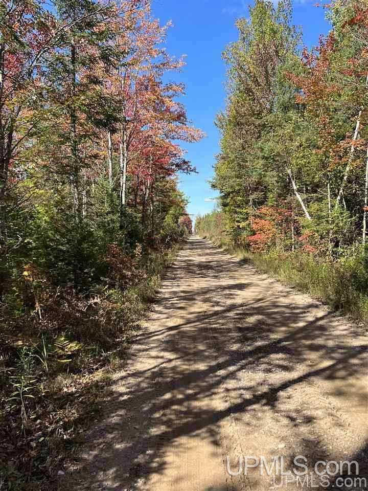 4091 Hiawatha Station Road Manistique, MI 49854 - Photo 20 of 24