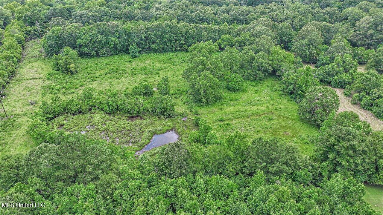 217 Stokes Robertson Road Jackson, MS 39212 - Photo 49 of 84 49-217 Stokes Robertson Rd