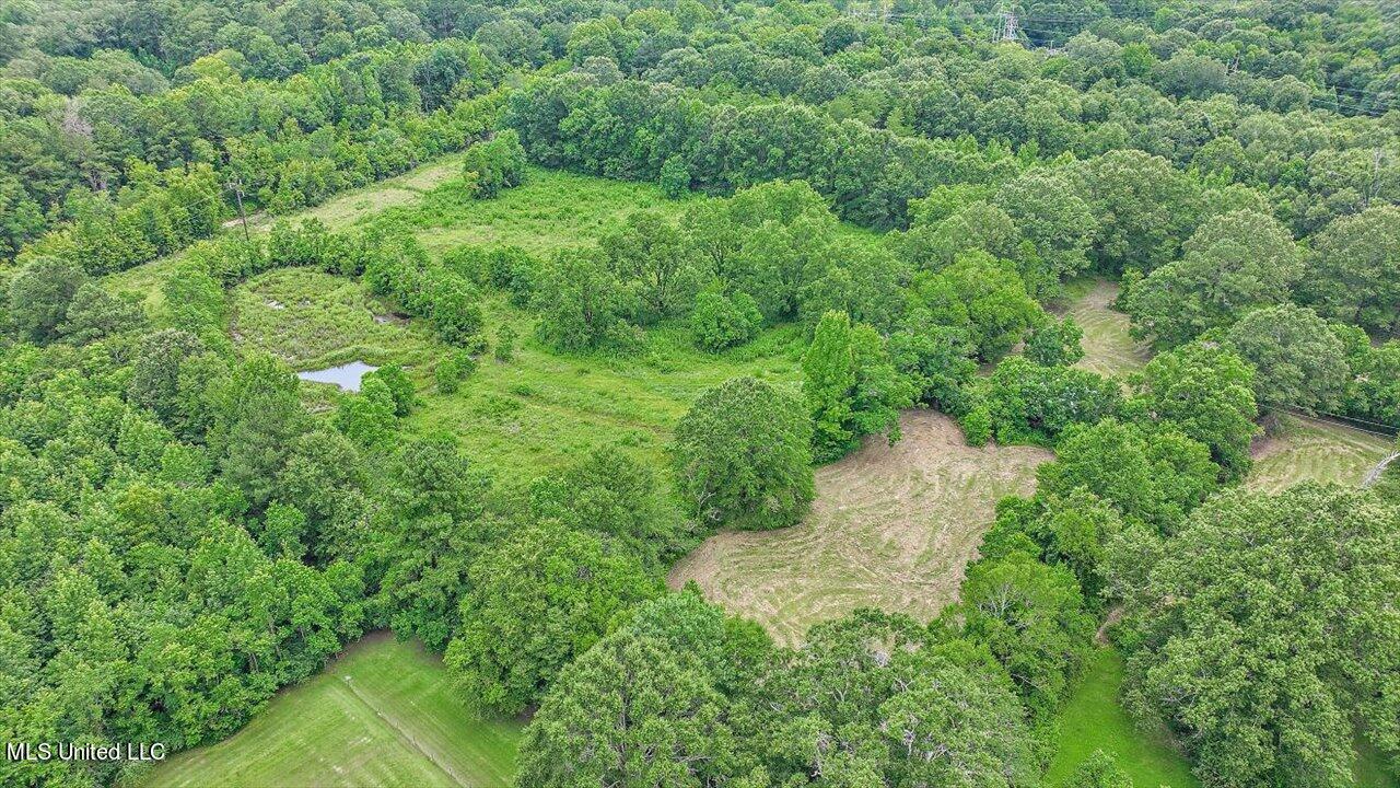 217 Stokes Robertson Road Jackson, MS 39212 - Photo 50 of 84 50-217 Stokes Robertson Rd