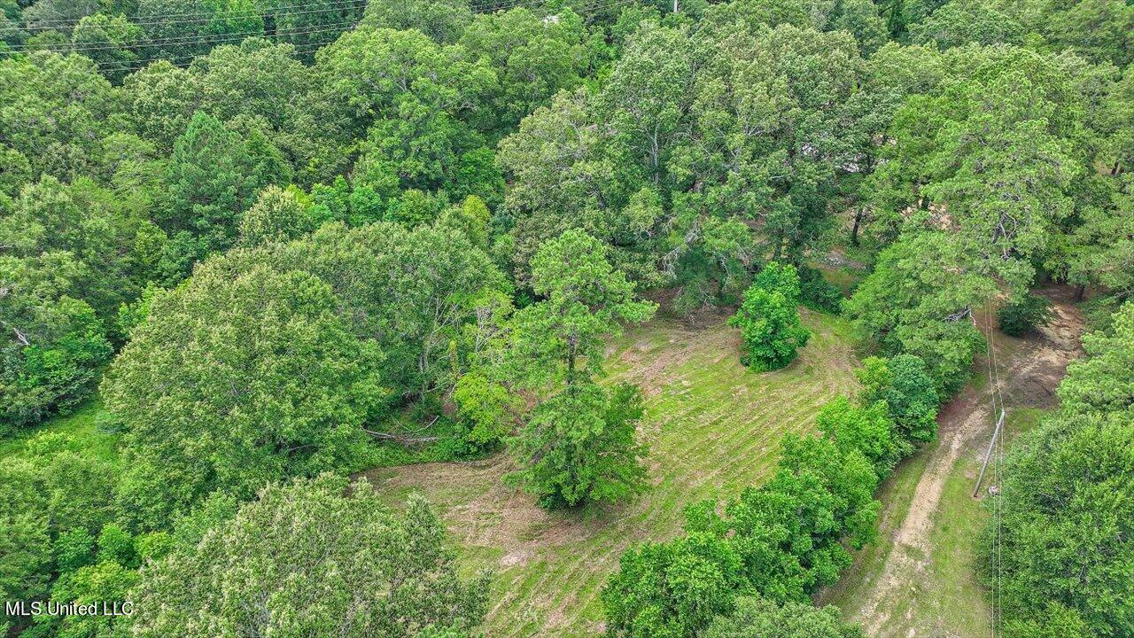 217 Stokes Robertson Road Jackson, MS 39212 - Photo 53 of 84 53-217 Stokes Robertson Rd
