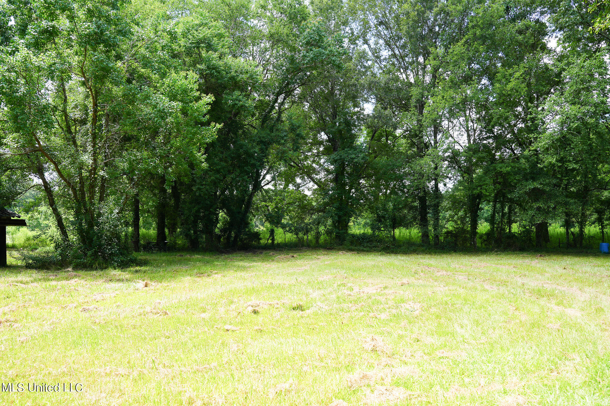 217 Stokes Robertson Road Jackson, MS 39212 - Photo 60 of 84 DSC00633