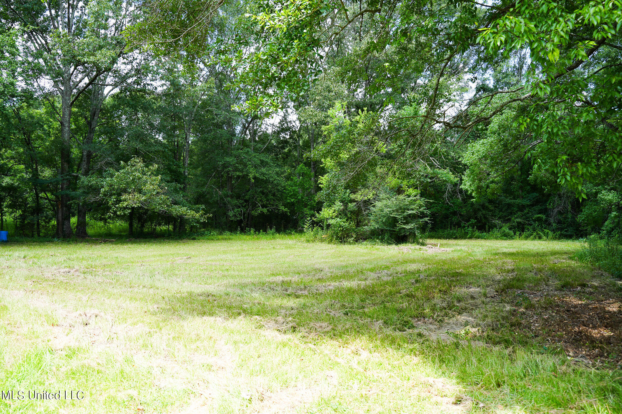 217 Stokes Robertson Road Jackson, MS 39212 - Photo 61 of 84 DSC00634