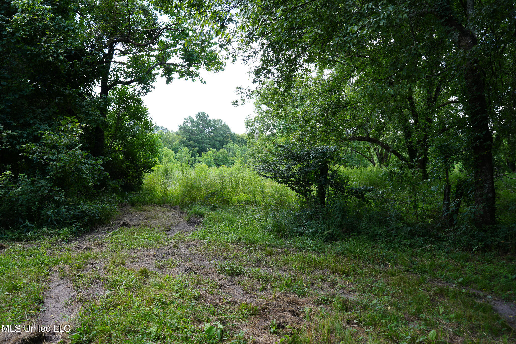 217 Stokes Robertson Road Jackson, MS 39212 - Photo 77 of 84 DSC00653