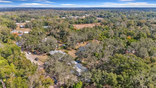 a view of a forest with trees in the background