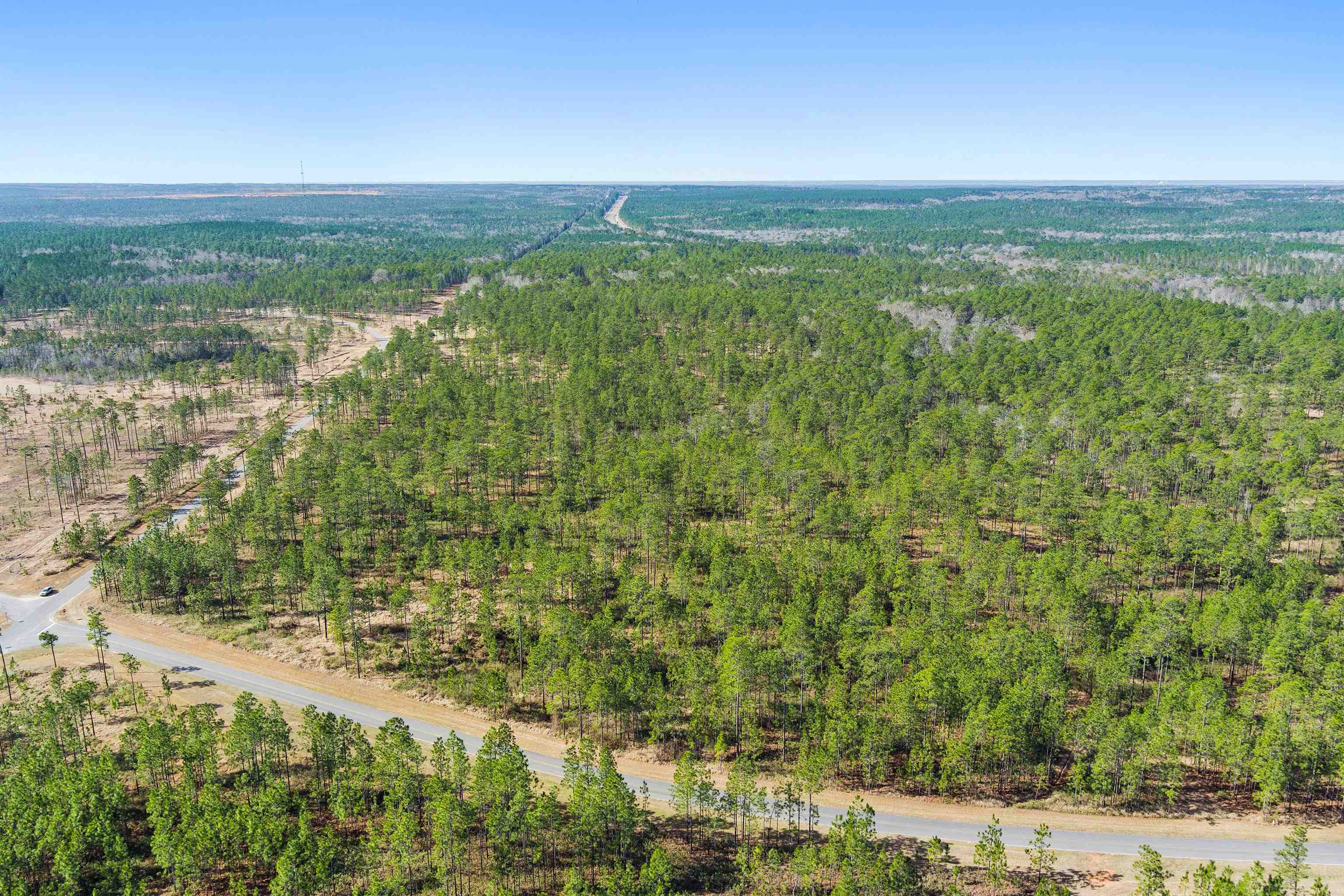 0 Robert White Road Bay Minette, AL 36507 - Photo 6 of 23
