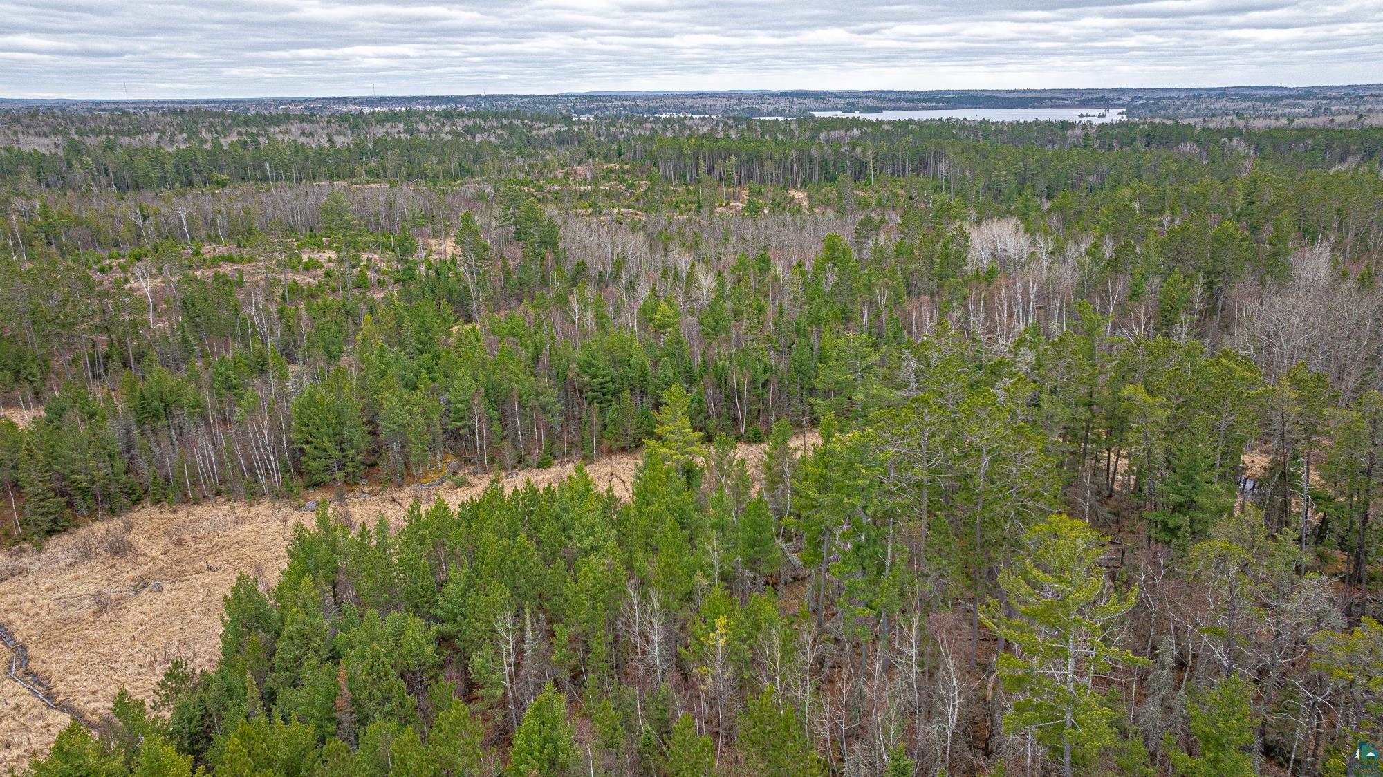 Tbd Lindbeck Road Ely, MN 55731 - Photo 31 of 44
