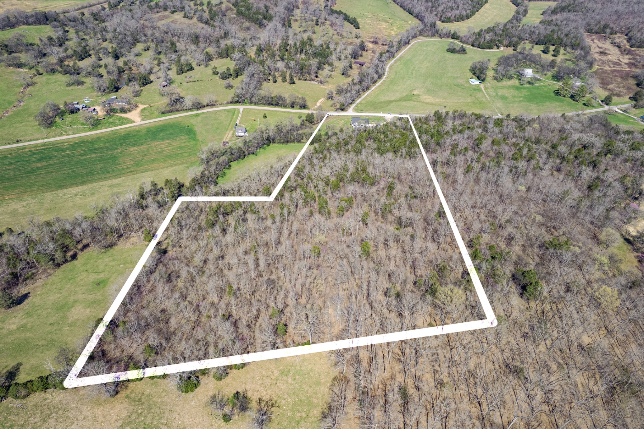 4770 Delina Road Cornersville, TN 37047 - Photo 56 of 71 a view of a wooden floor