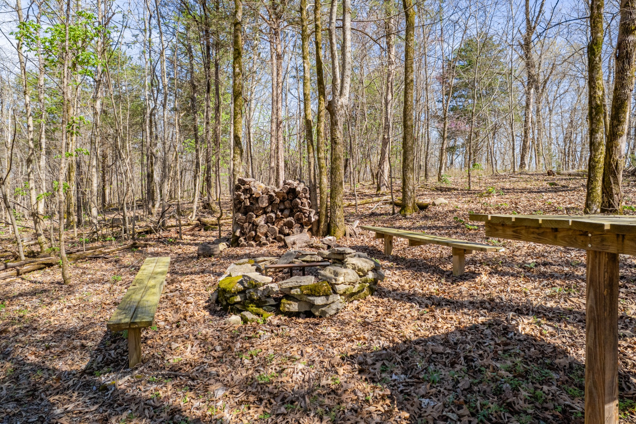 4770 Delina Road Cornersville, TN 37047 - Photo 57 of 71