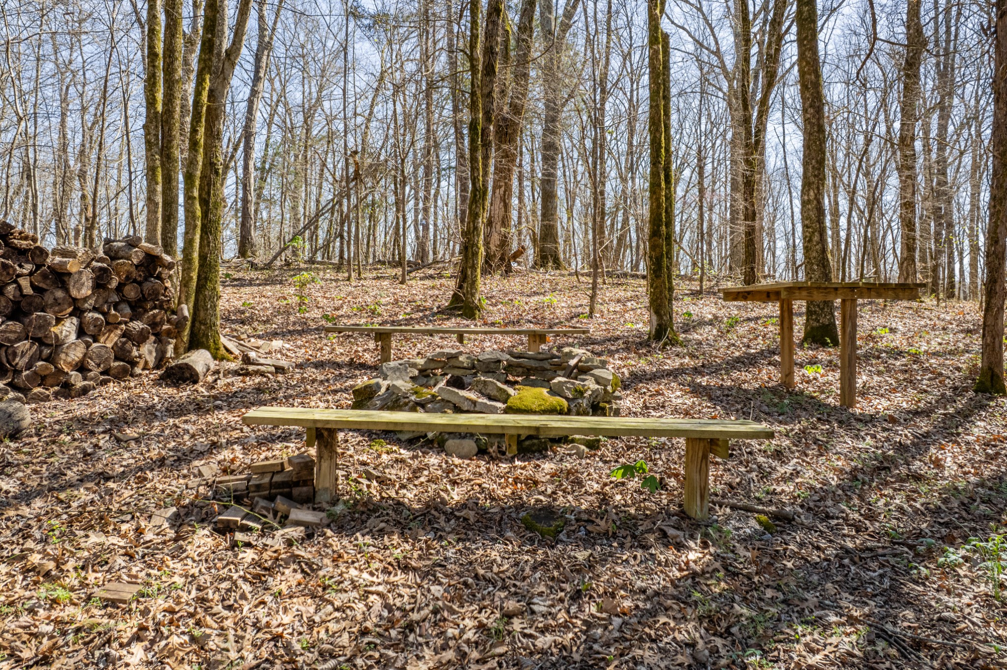 4770 Delina Road Cornersville, TN 37047 - Photo 61 of 71