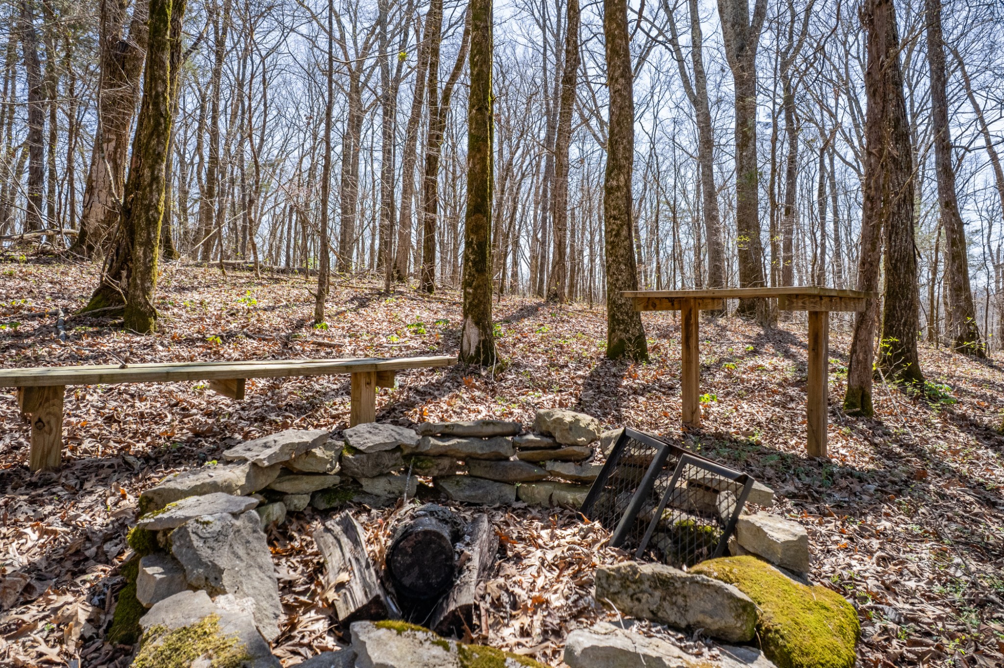 4770 Delina Road Cornersville, TN 37047 - Photo 63 of 71