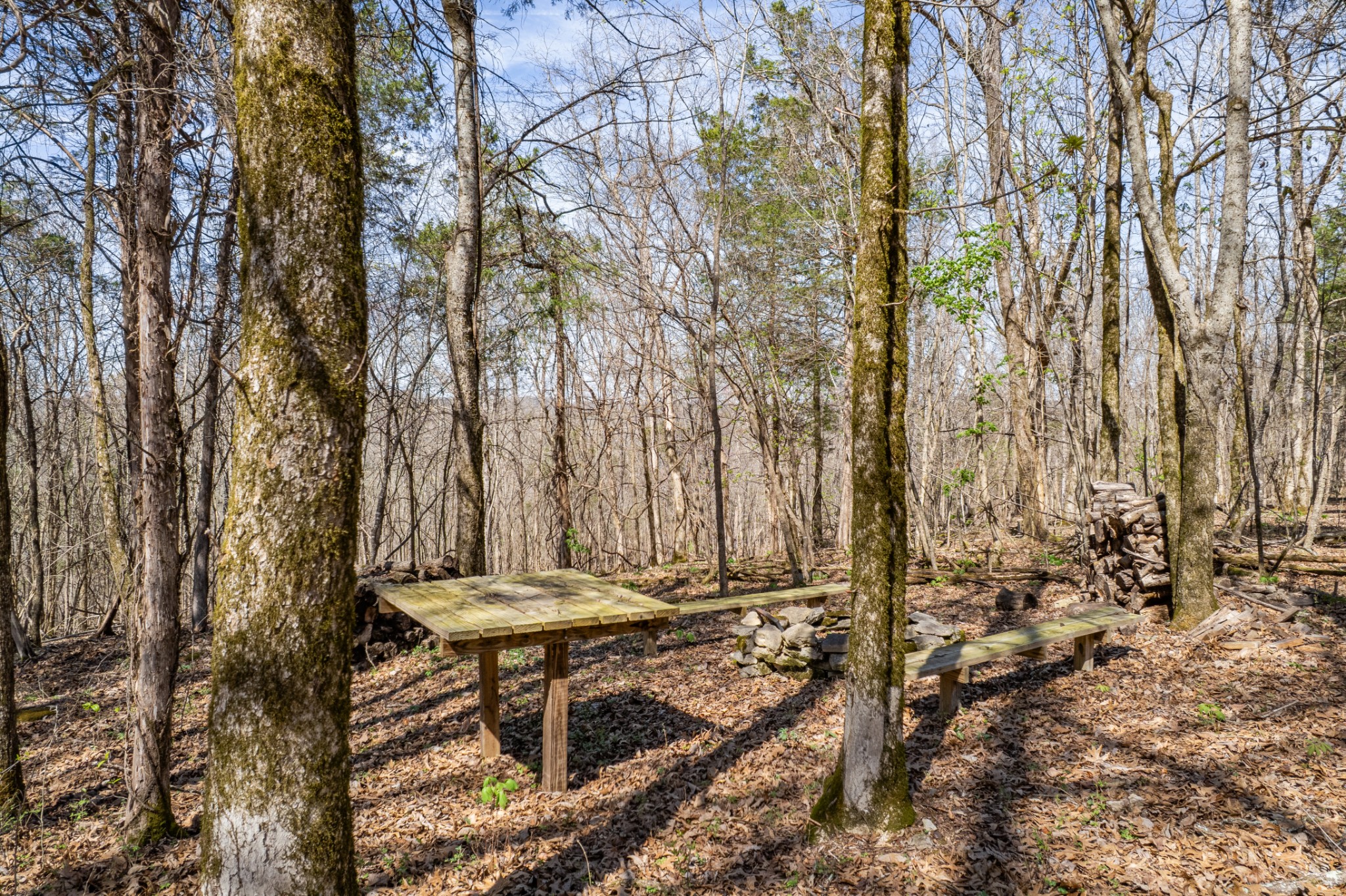 4770 Delina Road Cornersville, TN 37047 - Photo 65 of 71