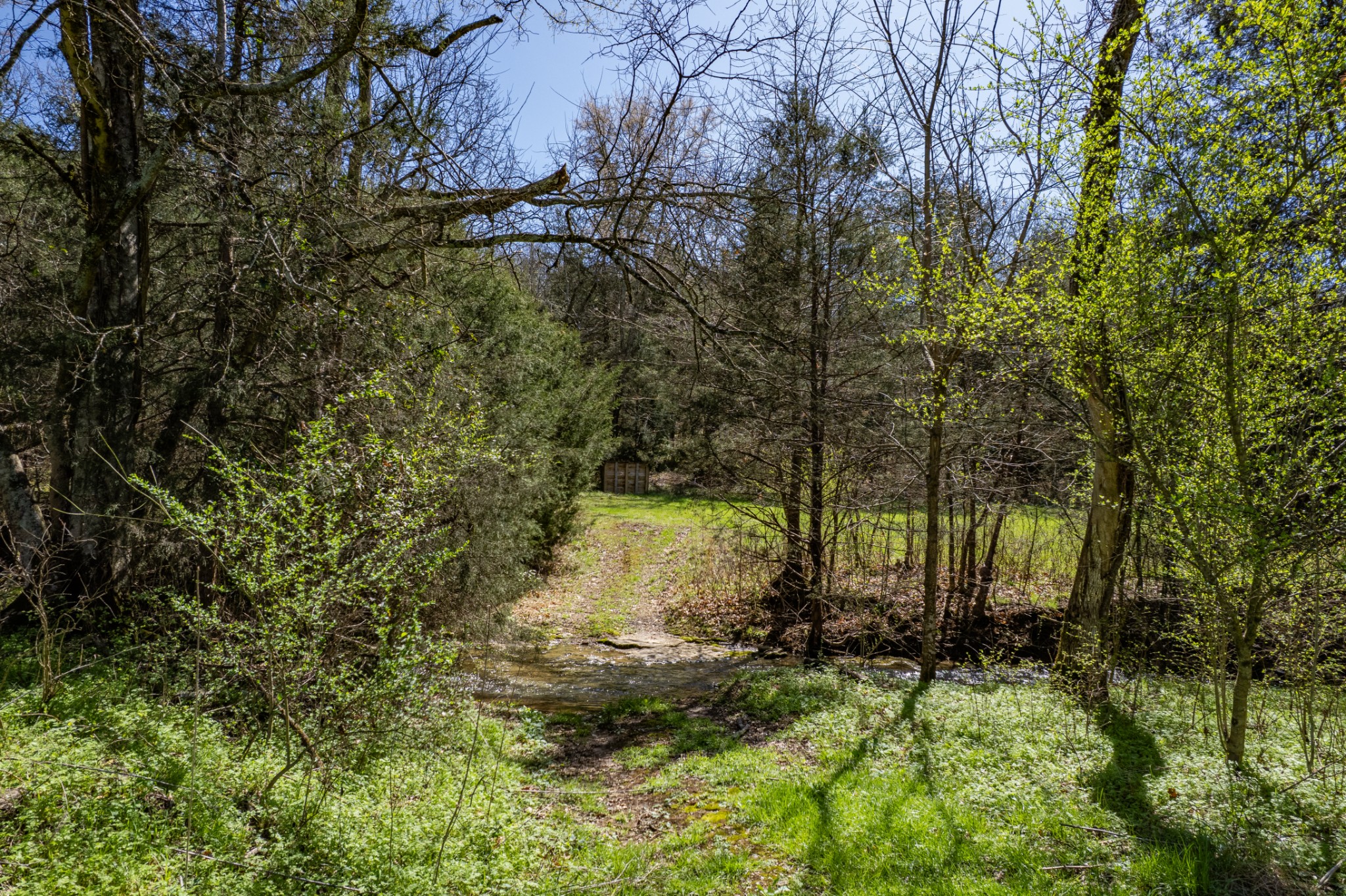 4770 Delina Road Cornersville, TN 37047 - Photo 66 of 71