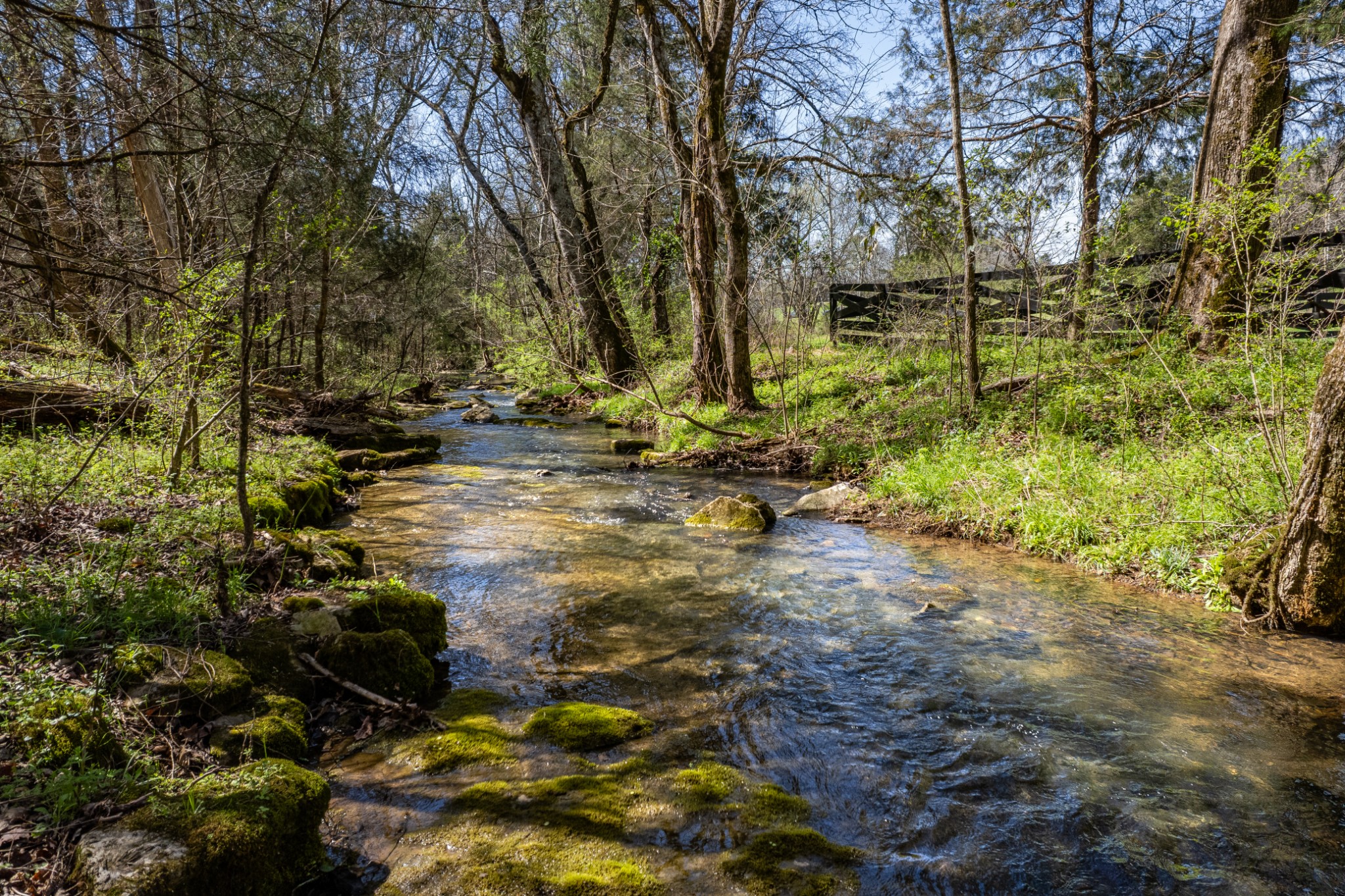 4770 Delina Road Cornersville, TN 37047 - Photo 67 of 71 a backyard of a house with lots of green space
