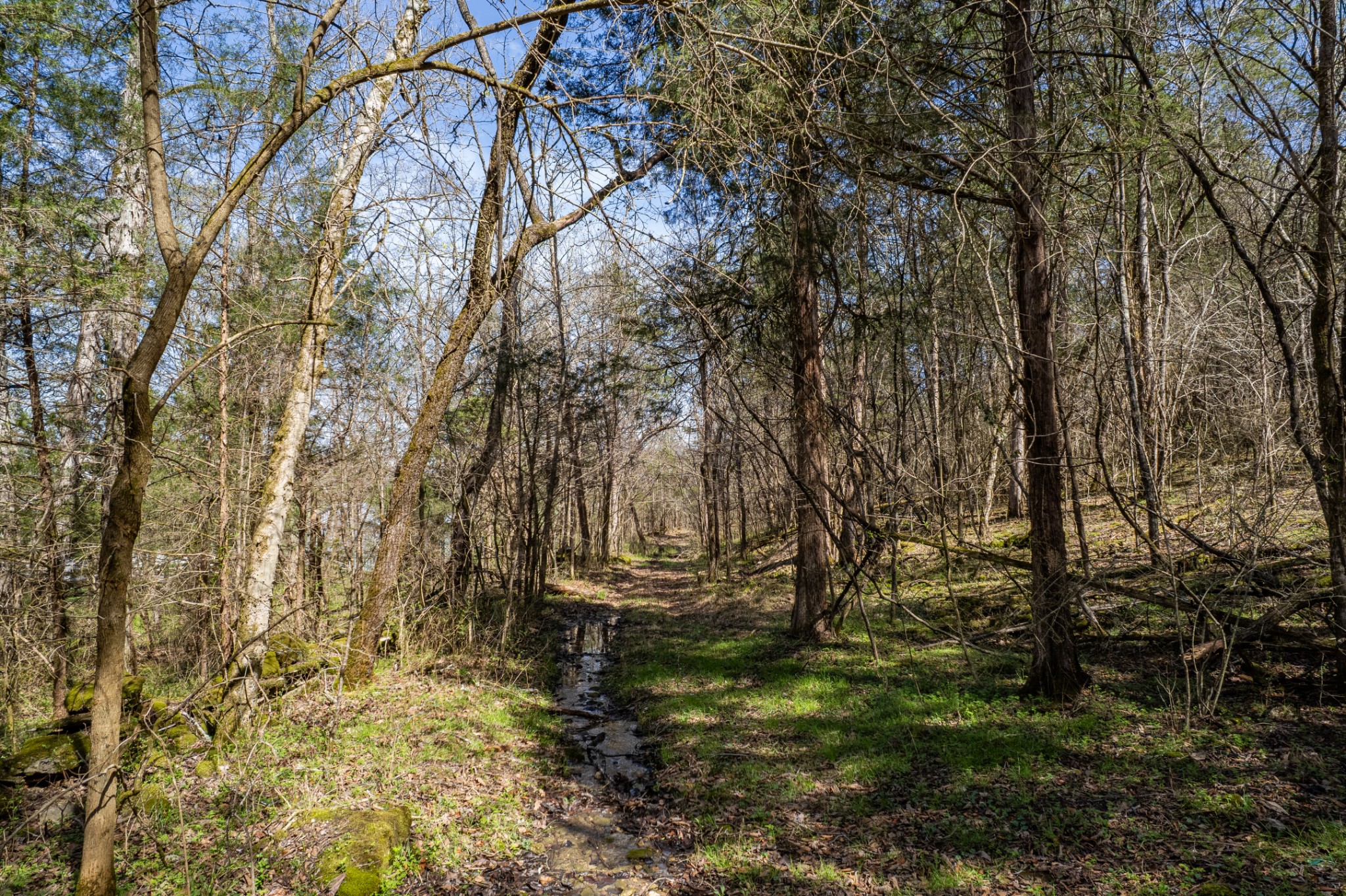 4770 Delina Road Cornersville, TN 37047 - Photo 69 of 71