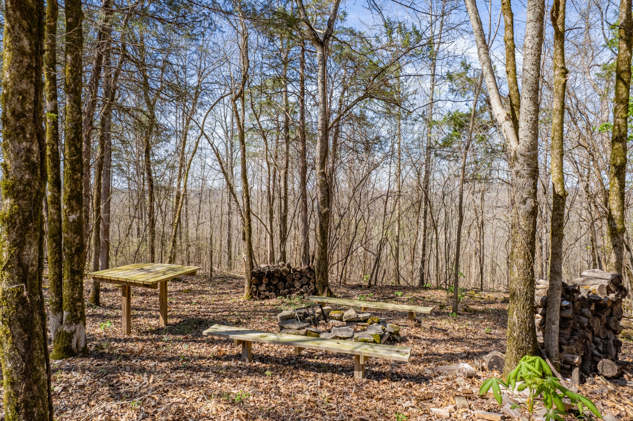 4770 Delina Road Cornersville, TN 37047 - Photo 71 of 71 a view of a backyard with chairs