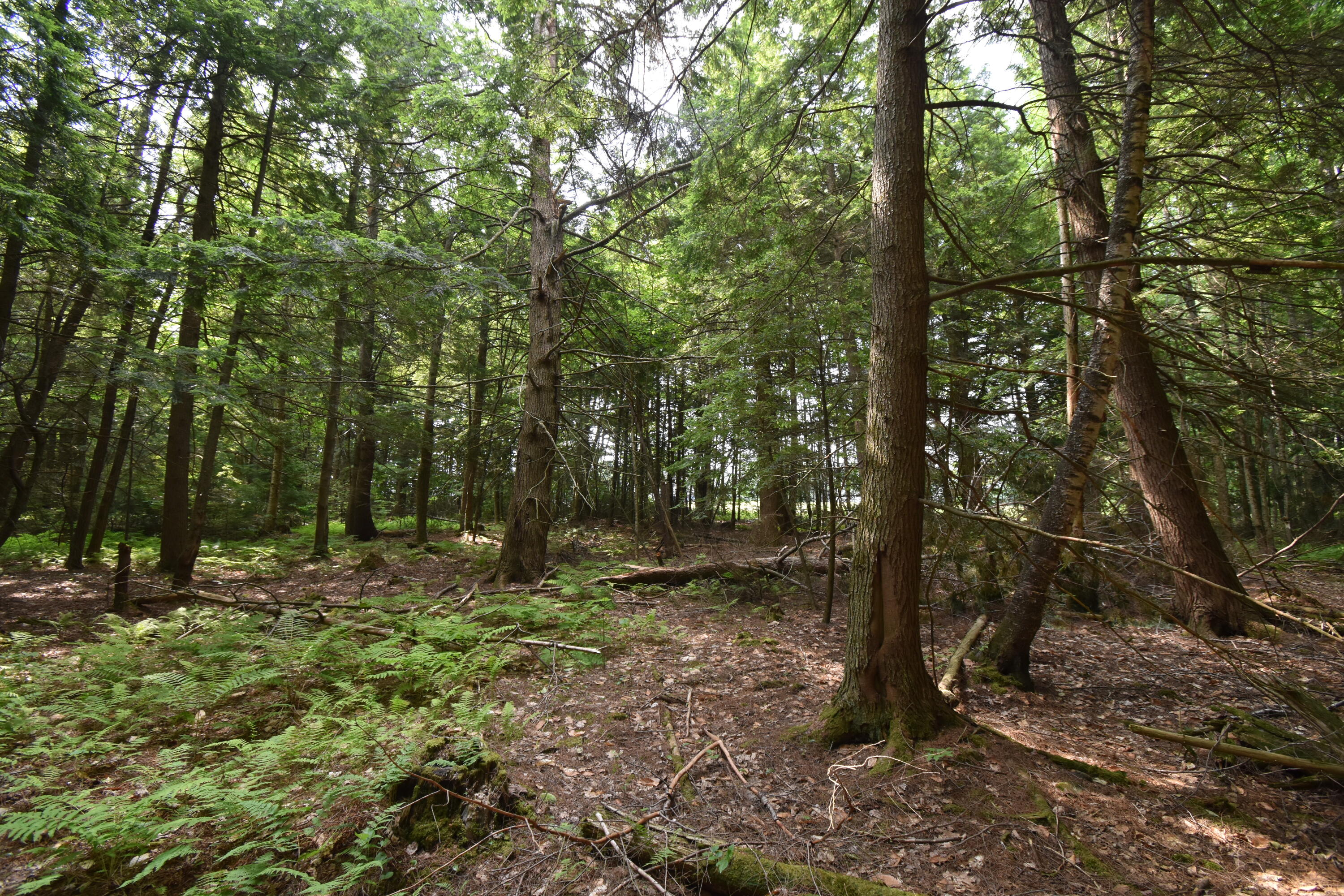 0 Rodrigue Lane Readfield, ME 04355 - Photo 35 of 51 DSC_0542