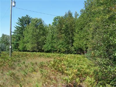 13 13 Mile Road Copemish, MI 49625 - Photo 12 of 12 Additional Photo