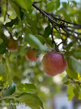 a view of outdoor space