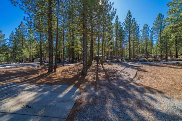 a view of outdoor space with trees