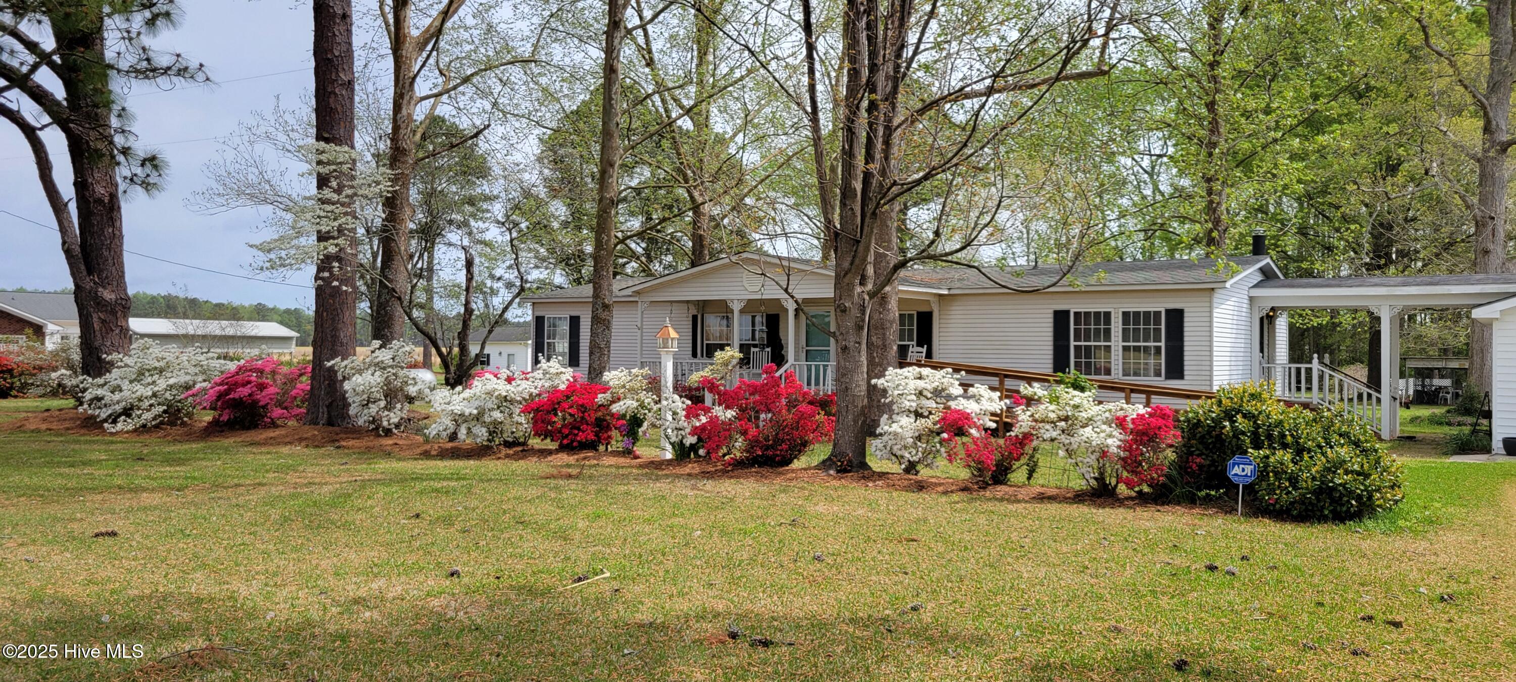1032 Ball Road Washington, NC 27889 - Photo 13 of 50 AZALEAS IN FRONT YARD