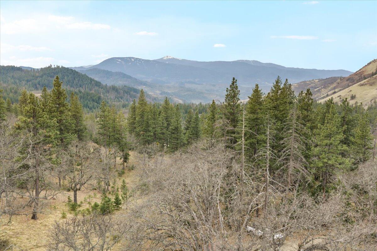 1203 Tyler Creek Road Ashland, OR 97520 - Photo 26 of 29 31-DJI_20260127142624_0039_D