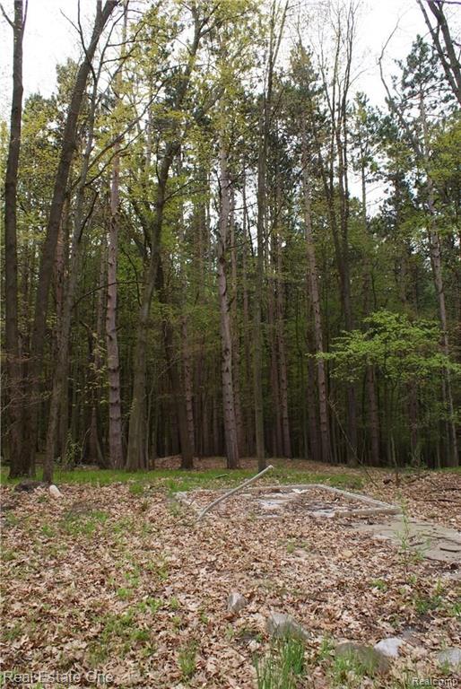 2 McKeen Lake Road Columbiaville, MI 48421 - Photo 40 of 51