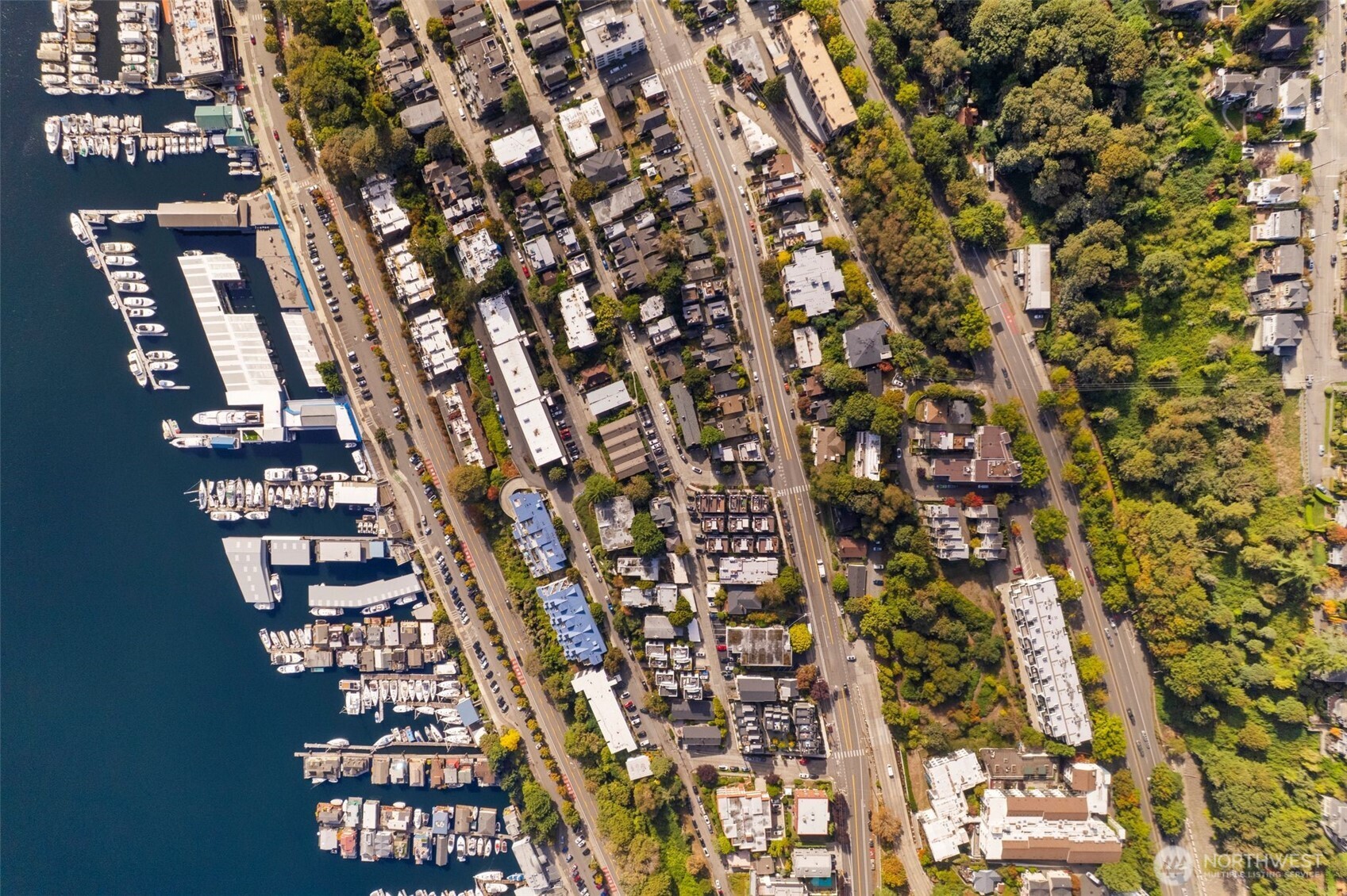 559 McGraw Street, Unit 402 Seattle, WA 98109 - Photo 37 of 39