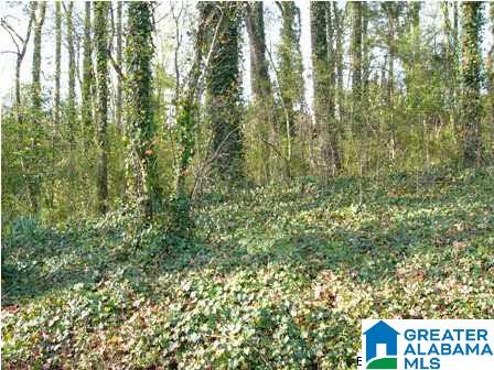 1321 Saulter Road Birmingham, AL 35209 - Photo 21 of 23