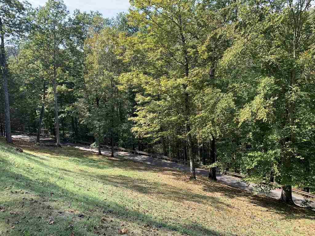 651 Spring Branch Road Wayne, WV 25570 - Photo 13 of 13 Gallery Image 13