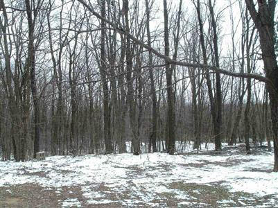 3401 Hanes Road Vassar, MI 48768 - Photo 11 of 11 20222298-10.JPG