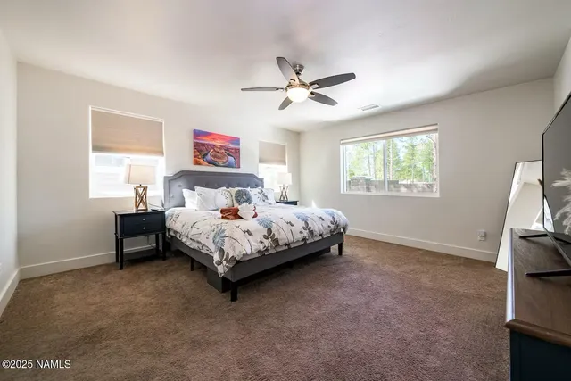 a bedroom with a bed and a tv