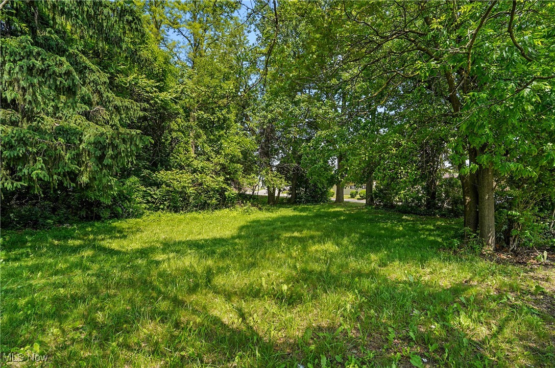 1500 Home Avenue Akron, OH 44310 - Photo 2 of 7 View of yard