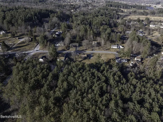 a view of a forest with a forest