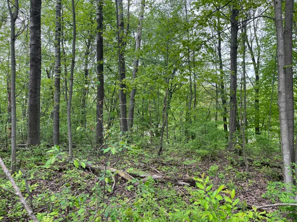 $20,000 | 20 E Heights, Remus, MI 49340