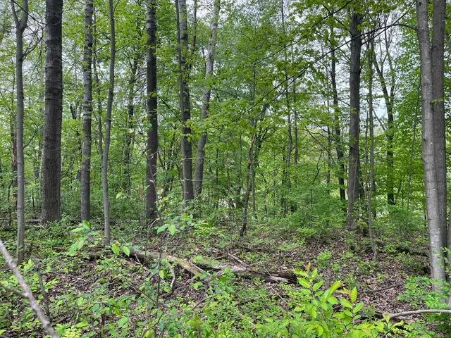 $20,000 | 20 E Heights, Remus, MI 49340