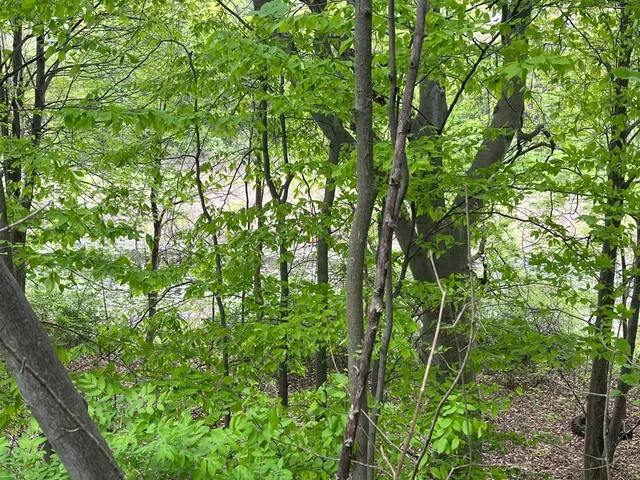 $20,000 | 20 E Heights, Remus, MI 49340