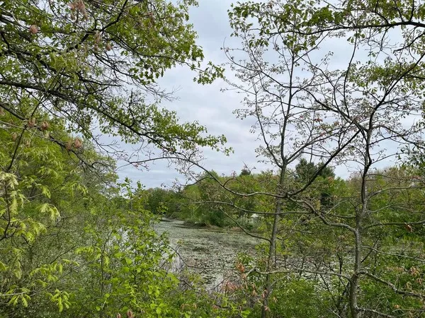$20,000 | 20 E Heights, Remus, MI 49340