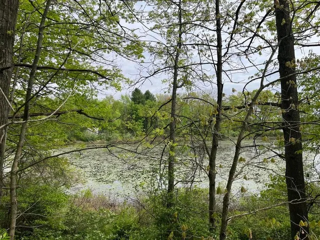 $20,000 | 20 E Heights, Remus, MI 49340