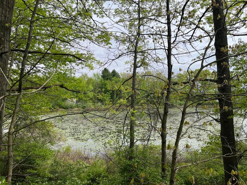 20 E Heights Remus, MI 49340 - Photo 7 of 7 20250519211051774413000000-o