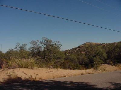 0 North Cody Loop Road Oracle, AZ 85623 - Photo 1 of 1