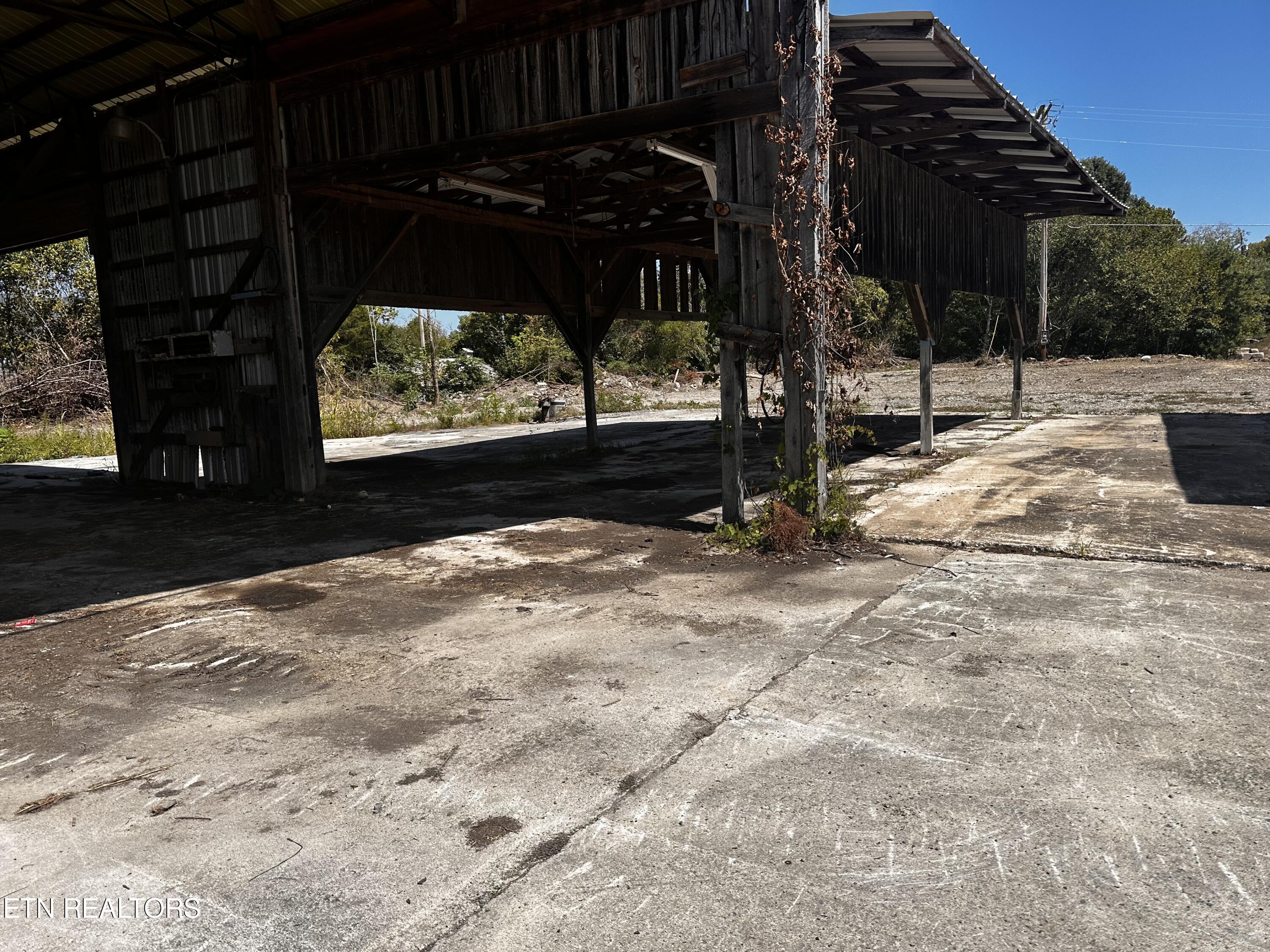 3650 Back Valley Road Speedwell, TN 37870 - Photo 22 of 22 IMG_1927